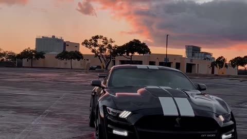 Shelby gt500