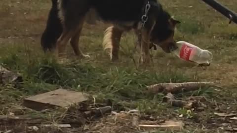 miko drinking from pop bottle