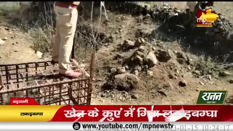खेत के कुएं में गिरा लकड़बग्घा, वन विभाग की टीम ने किया रेस्क्यू! MP News Barwani