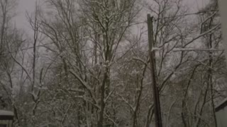 Snow storm hits Michigan
