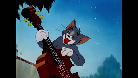 Tom & Jerry Funny Cartoon