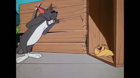 Tom & Jerry | End the Year with Tom and Jerry 🐱🐭 | Classic Cartoon Compilation |kids​