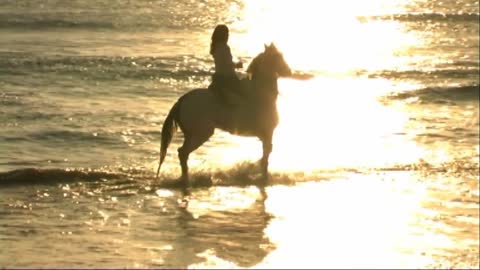 Woman on horse at seashore, riding through surf