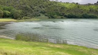 Mount Gambier Valley Lake (Highly recommended)