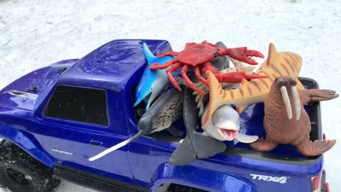 Sea Animal Toys for Kids in Snow with Blue Remote Control Truck