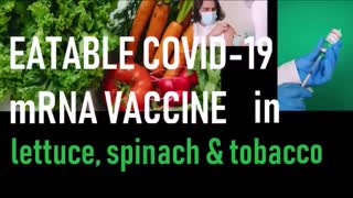 They Are Trying to Feed us with mRNA in Food, Vegetables and Tobacco, Not Just Meat