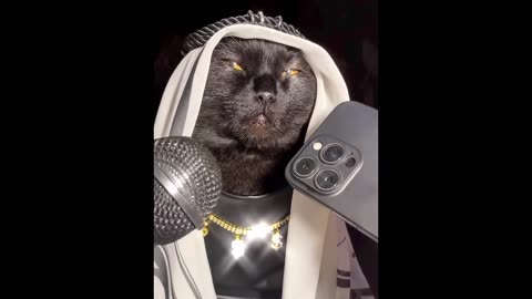 Amazing and funny animal for cat and dogs video.