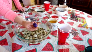 Flock it Farm: coloring quail eggs for Easter