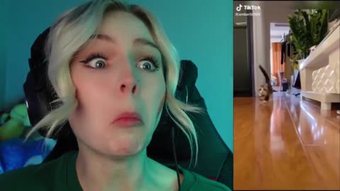 Reacting to TikTok's FUNNIEST Animals Part 1 #cats