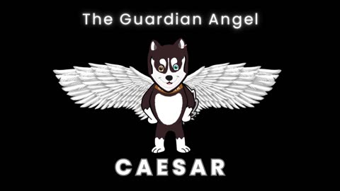 Caesar - The Guardian Angel | Super Dog Story