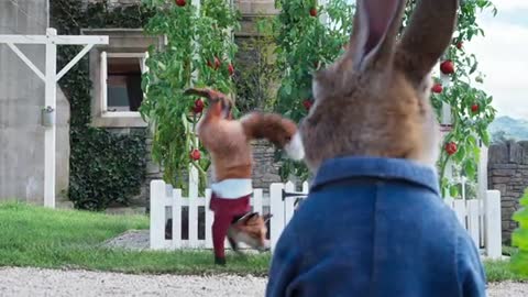 PETER RABBIT 2- THE RUNAWAY - Final Trailer (HD)_Cut