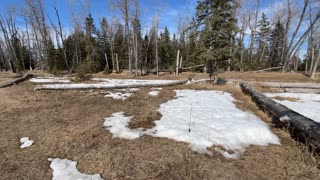 Walking near the red deer River Pt. 2