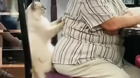 Cat Gives Grandmother a Massage