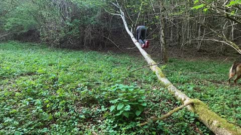 boy and his dog in a forest