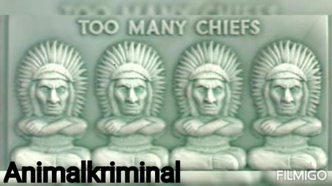 Too many chiefs - Animalkriminal