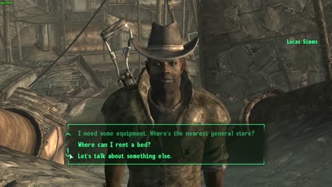 Fallout 3, Silver