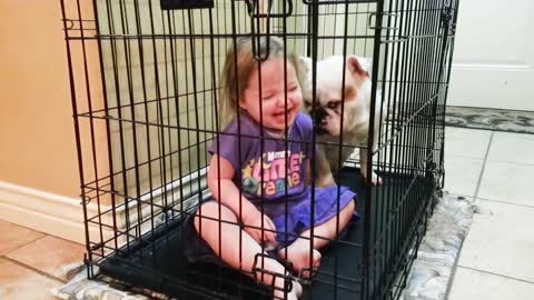 Charming Dogs and Babies are Best Friends Dogs Babysitting Babies Video