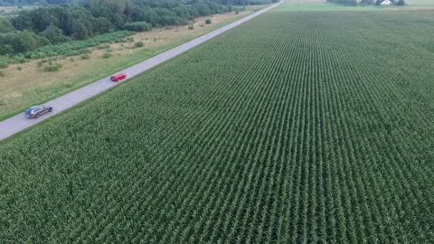 Flying Over The Corn Field Near Road, Cars Passing By