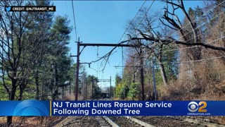 NJ Transit lines resume service following downed tree