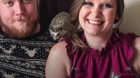 Hedgehog And Mom Are Perfect For One Another - WALDO | The Dodo