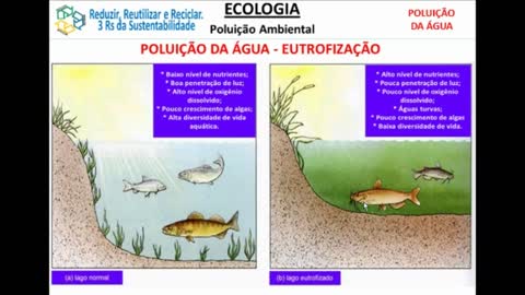 Poluição Ambiental - MinhaEscolaWeb