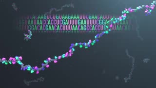 What is mRNA, and how does it work?