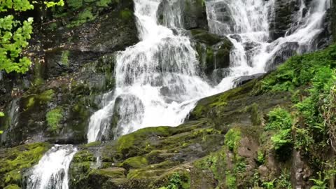 Relaxing Waterfall SoundsBirds, song birds, small