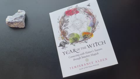 Year of the Witch by Temperance Alden | Flip Through Book Review