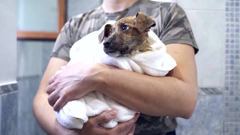 Abandoned Puppy Gets A New Home