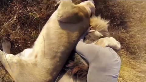 Really emotional - Animals never forget their owner