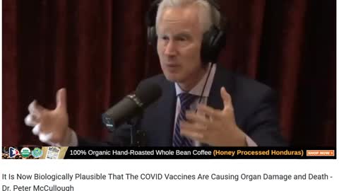 It Is Now Biologically Plausible That The COVID Vaccines Are Causing Organ Damage and Death