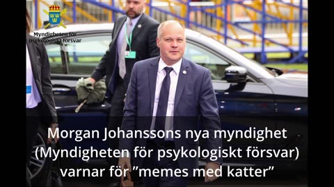 Psykologiskt Försvar varnar för kattvideos