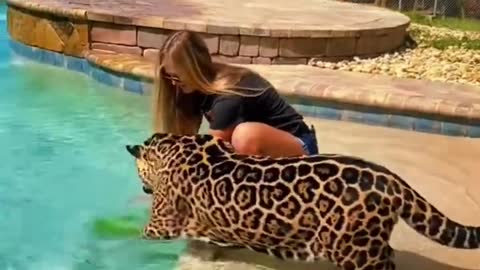 Jaguar & Watermelon in Pool! 🍉🐆
