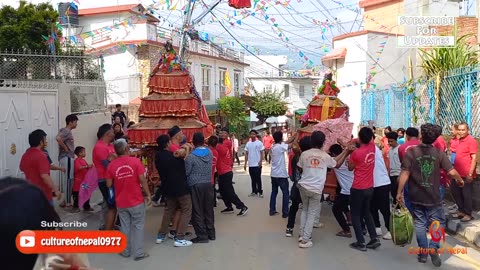 Naulin Bhadrakali Jatra, Dharampur, Budanilkantha, Kathmandu. 2081, Part VI