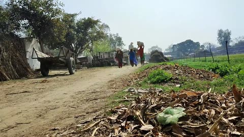 Real Countryside Poor Farmers Life India || Uttar Pradesh Village Life || Rural Life