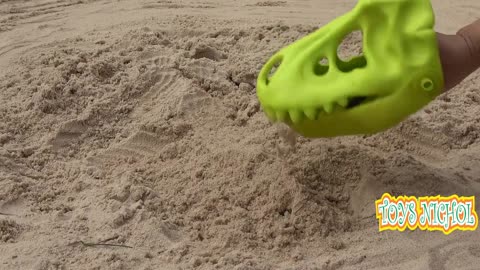 Dig in the Sand with a Skull Head to Look For Animals