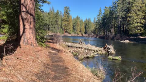 Triple Speed Shoreline Hiking – Metolius River – Central Oregon