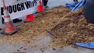 Bay Area Protestors have delivered a pile of shit to Nancy Pelosi’s house this morning.