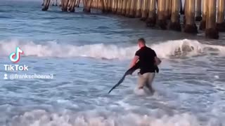 Shark rescue