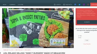 Lidl are selling Insect burgers