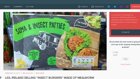 Lidl are selling Insect burgers