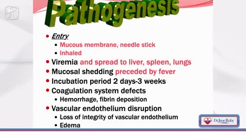 Stew Peters Show - Shockwave Warnings Of Hemorrhagic Fever Coming To The United States