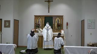 Feast of the Most Holy Trinity - Holy Mass 06.04.23