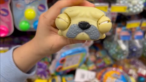 Popping Eye Pug Toy