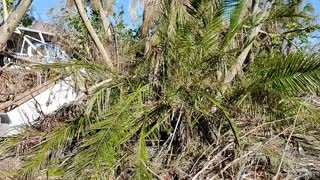 Sanibel Island after hurricane ian