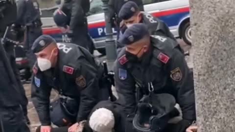 Vienna Police Violently Assault Old Woman over Covid Protest