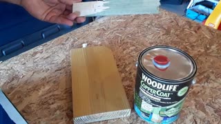 Woodlife CopperCoat Wood Preservative