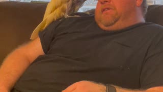 Cockatoo Entertains His Humans