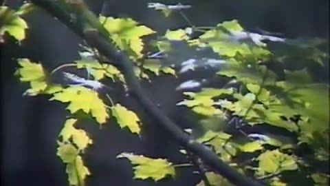 September 14, 1989 - Video Essay on Indiana's Clifty Falls State Park