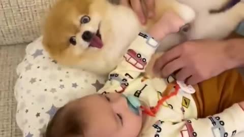 puppy with child ☺️